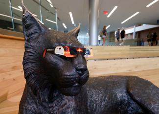 Cat statue wearing sunglasses