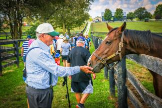 man feeding a horse out of his hand