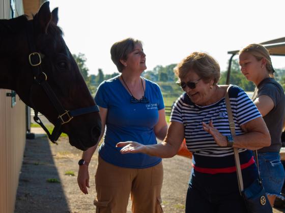 Family feeding a horse